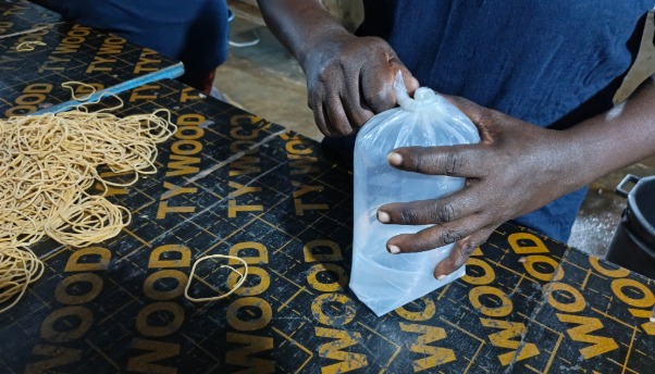 ornamental marine fish packaging