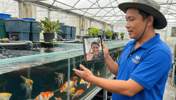 Genuine Ornamental Fish Exporter