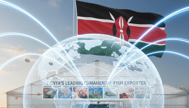 Kenya's leading Ornamental fish exporter